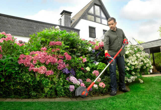 The Battery Line Trimmer LT 25 eM in Garden
